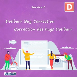 Servicio de corrección de errores Dolibarr