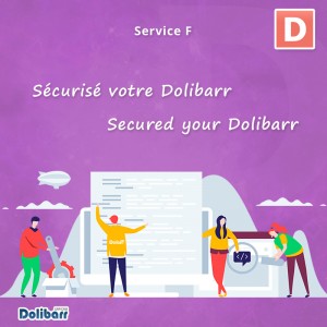 Service: Secured your Dolibarr