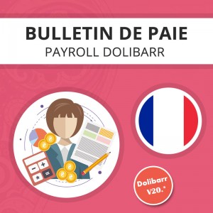 Bulletin de Paie Modèle France - ou Fiche de Paie Modèle France